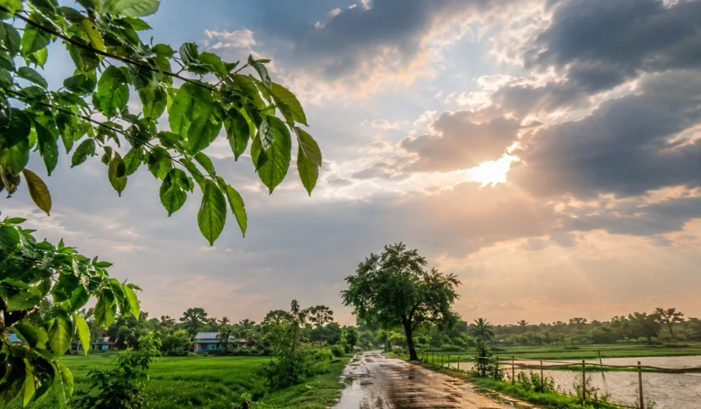 তীব্র গরমের পর স্বস্তির আভাস